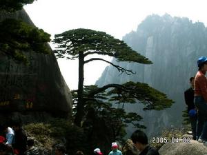 引針峰