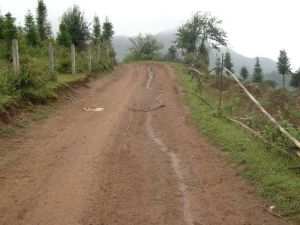 山岔河大寨村