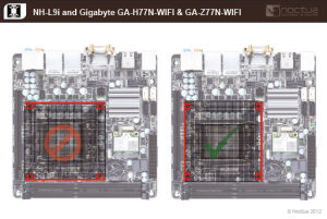 noctua