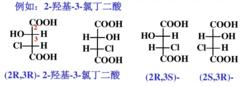 圖52-羥基-3-氯丁二酸的鏇光異構體