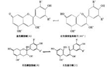 花青素隨pH的結構變化