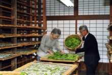 美智子皇后於皇居・紅葉山御養蠶所