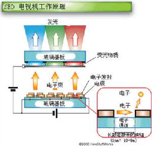 （圖）SED電視機