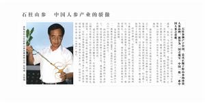 上海長白山實業有限公司