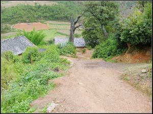 進村道路