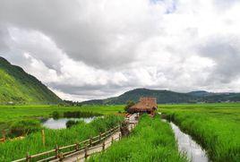 清水鄉[雲南省保山市騰衝市清水鄉]