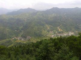 雙龍村[江西省贛州市興國縣社富鄉雙龍村]