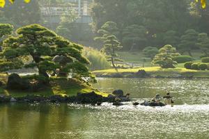 回遊式泉水庭園