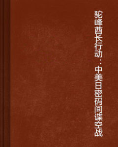 駝峰酋長行動：中美日密碼間諜空戰