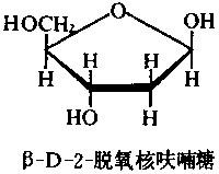 脫氧核酸