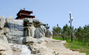 夏津黃河故道森林公園風景區風景