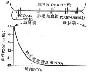 氣體交換