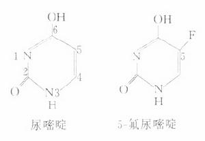 尿嘧啶氮芥