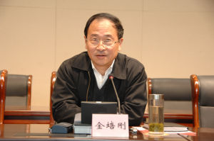 Jin Peigang