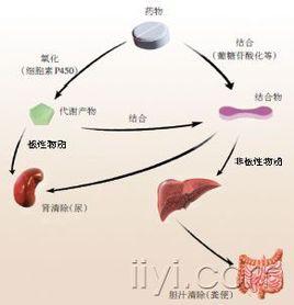 首過效應