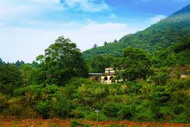 城山村[福建寧德市福安市溪潭鎮下轄村]