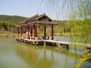 銀林生態農業園