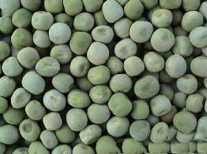 （圖）豌豆