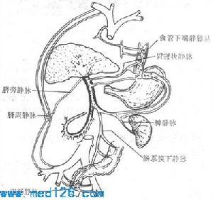 小兒便血