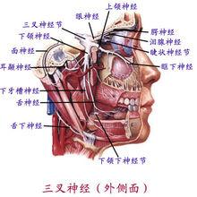 牙疼、叉疼可以採取異病同治