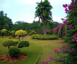 三易花卉園