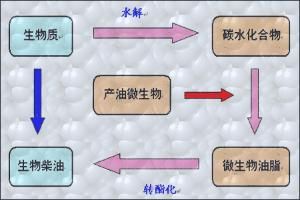 生物技術專業