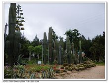 廈門園林植物園