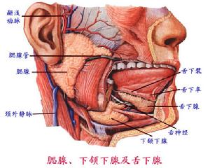 化膿性腮腺炎