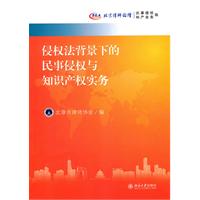 侵權法背景下的民事侵權與智慧財產權實務——北京律師論壇·民事侵