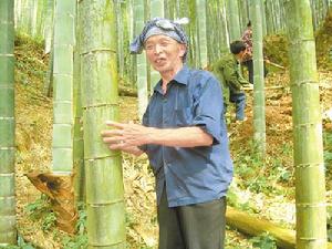 樟坪鄉