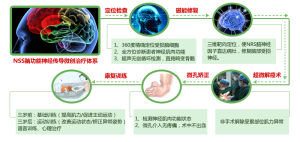 NSS腦功能神經傳導微創治療體系