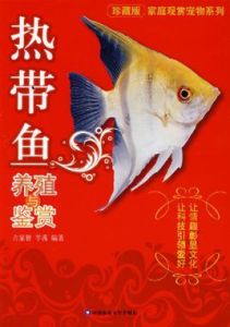 熱帶魚養殖與鑑賞