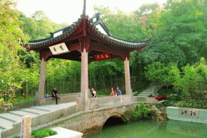 西湖龍井茶文化景區