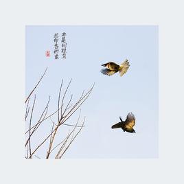 同林鳥[艾米圖書]