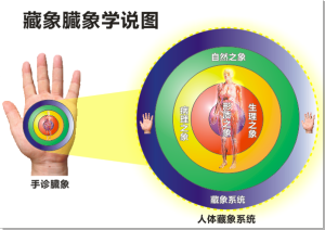 手診醫學臓象原理示意圖