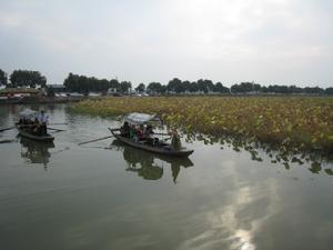 漢川刁汊湖
