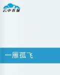 一雁孤飛 一雁孤飛