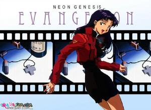 《EVA》