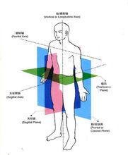 人體的軸與面