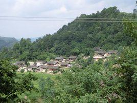 福泉村[湖北省荊門市鍾祥市胡集鎮福泉村]