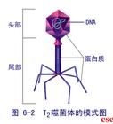 放射性標記方法