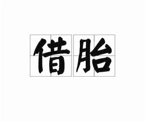 借胎[漢語詞語]