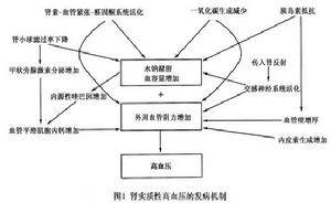 腎實質性高血壓