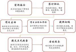 項目申請報告