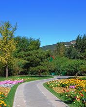 濟南植物園景觀