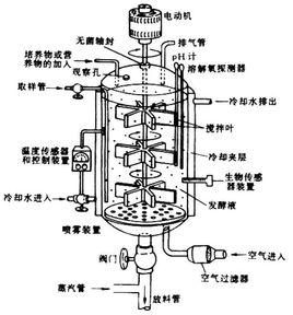 通氣式機械攪拌發酵罐