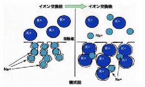 化學強化玻璃模式圖