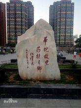 1995年，時任國家主席江澤民欣然題詞“華佗故里，藥材之鄉”