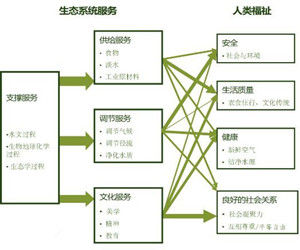 生態系統服務