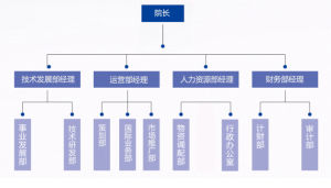 組織構架